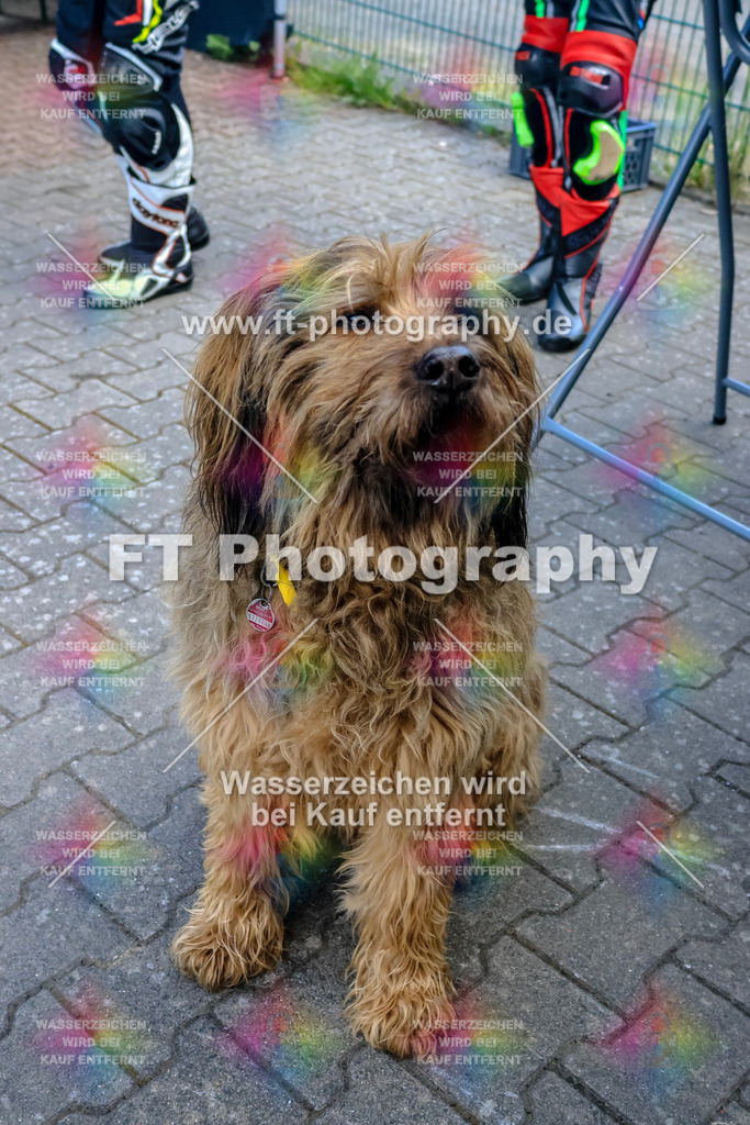 _OTO4144 | Hier findet Ihr Bilder von Touristenfahrten auf der Nürburgring Nordschleife oder von anderen Veranstaltungen die ich besucht habe. Viel Spass beim Durch Schauen 