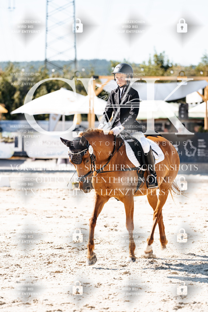 CK902976 | Turnierfotografie Pferdefotografie Trier Rheinland-Pfalz Pferdesport Reitsport Tierfotografie Sportfotografie Pferdevideo Pferdevideografie Equestrianvideography equestrianphotography  - Realisiert mit Pictrs.com