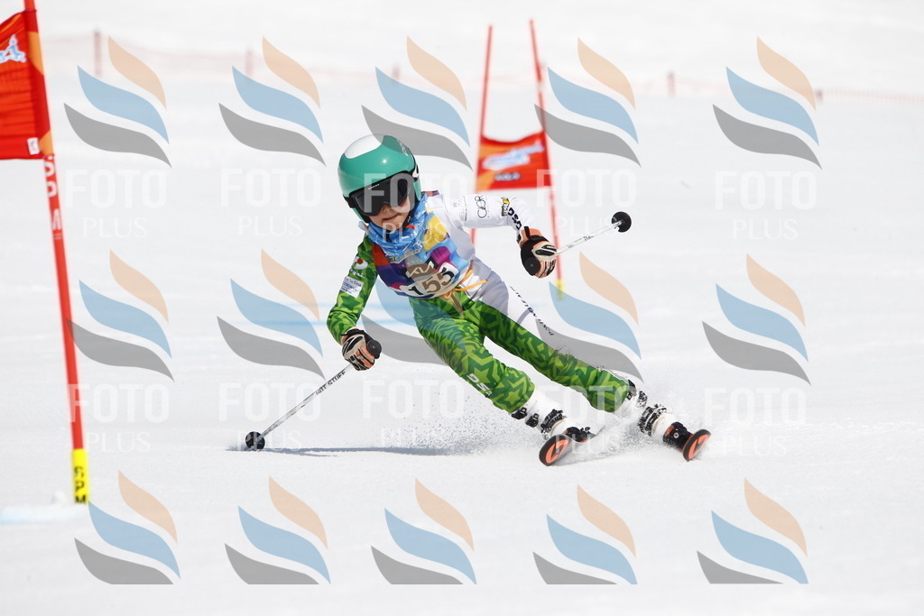 _U3G4195 | holidayphoto