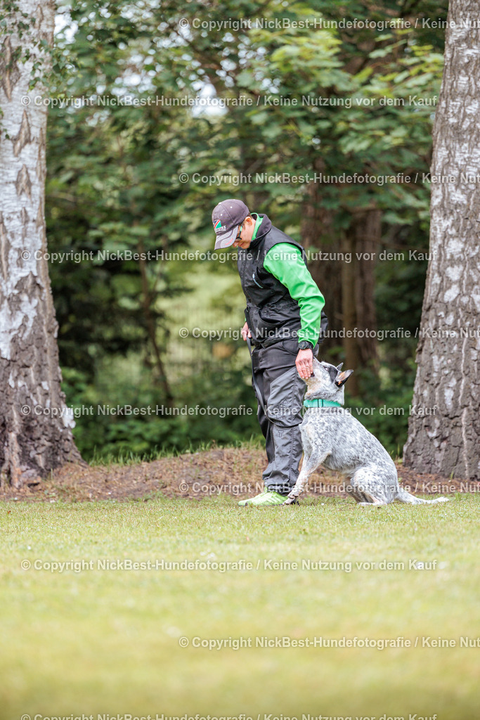 RO-Blumenthal-2026-Nickbest-Hundefotografie-5319 | Dein Hund! Dein Moment! Deine Erinnerungen! Hundefotografie in Bremen Blumenthal. Ich fange die besonderen Momente deines Vierbeiners ein – ob Indoor mit Blitzanlage oder in der freien Natur. Sicher dir dein Moment und dein Termin für eure Erinnerungen.