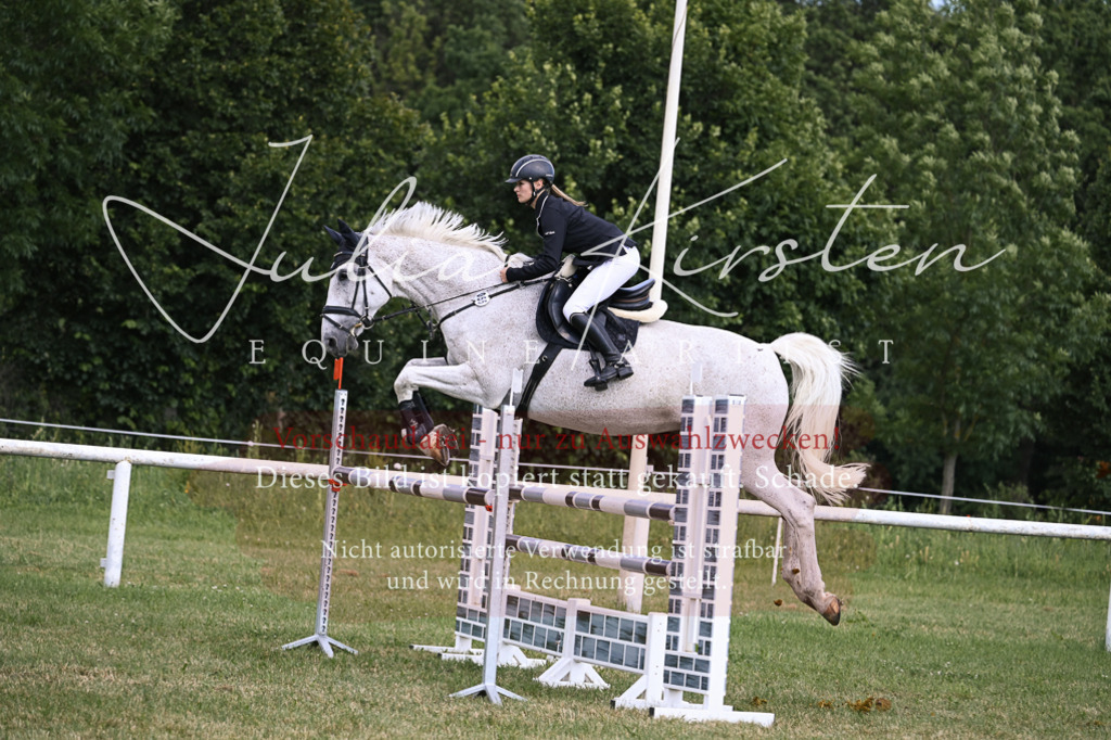 DSC_0977 | Pferde- und Turnierfotografie in Westsachsen. Pferdeportraits, Auftragszeichnungen und intuitive Kunst.