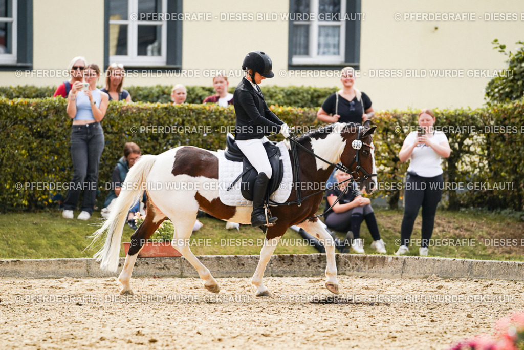 DSC01242 | Pferdegrafie