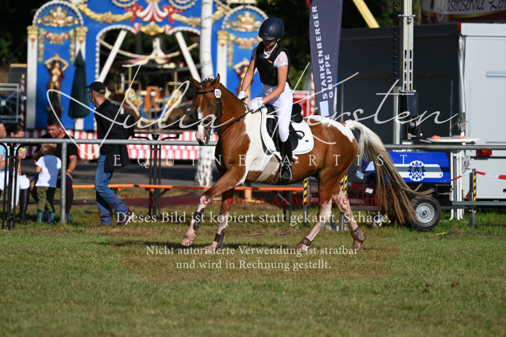 DSC_4898 | Pferde- und Turnierfotografie in Westsachsen. Pferdeportraits, Auftragszeichnungen und intuitive Kunst.