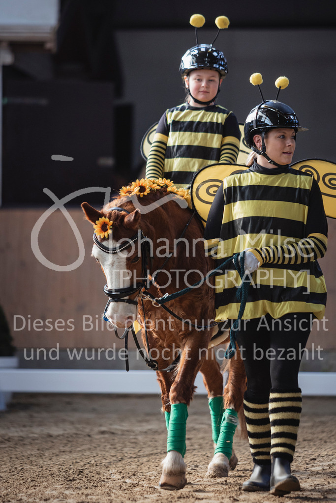 250316_HF-Schwm_Fuehrzuegel-133 | Deine schönsten Turniermomente als professionelle Fotos! Entdecke hochwertige Pferdesport-Fotografie im Online-Shop. Jetzt Fotos finden & bestellen!