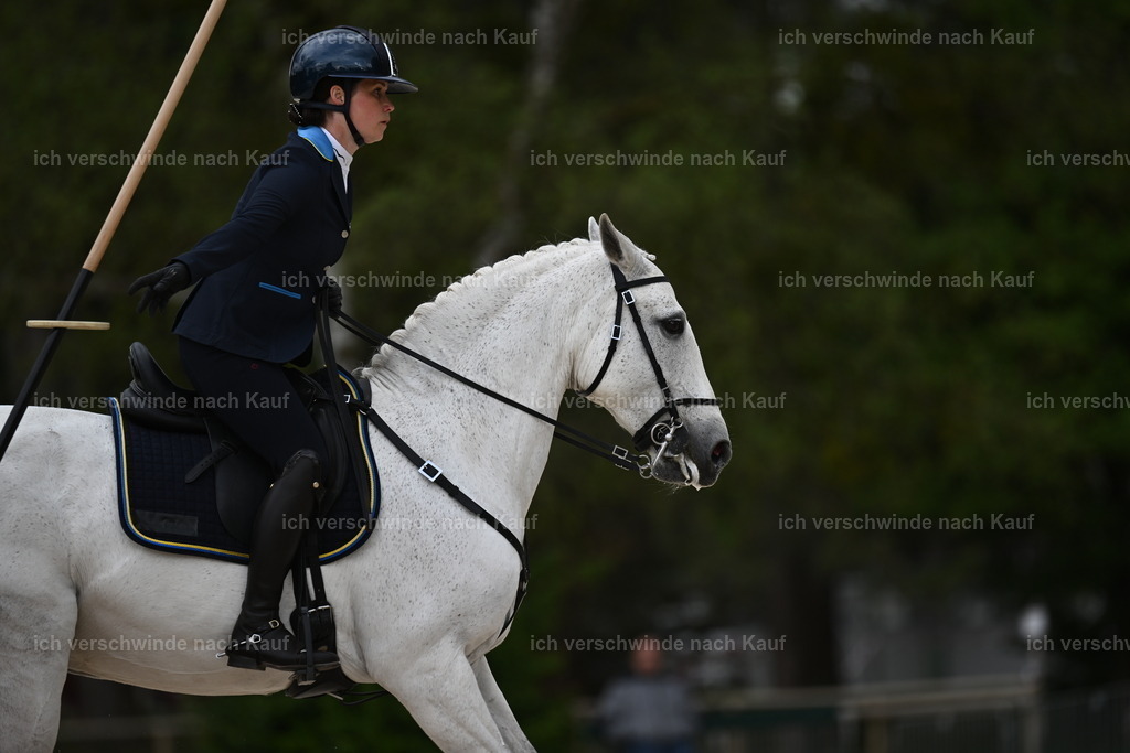 PI26_ST_Sara_Landvogt226_4246.JPG | working equitationturnier fotograf videograf stoibphotography marixx film working equitation deutschland reitsport turnierfotografie eventfotografie equestrian events