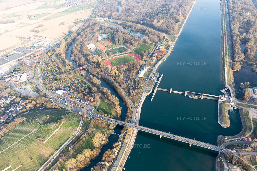Luftbild: Waldstadion, Waldschwimmbad in Breisach am Rhein im Bundesland Baden-Württemberg in Deutschland. Foto: IMG_113183.jpg vom 22.03.2019 durch Werner Riehm/FLY-FOTO.de