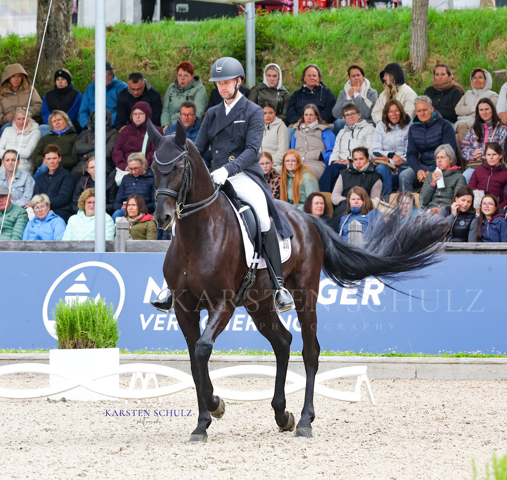 1B3A7696 | Reitsport Reiten
