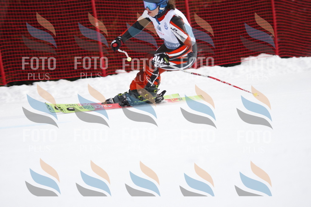 D4733 | holidayphoto