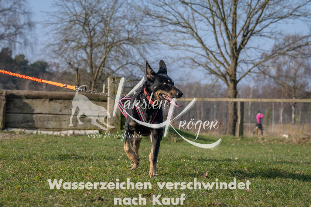 _ZZ93820 | kk-dogfotos