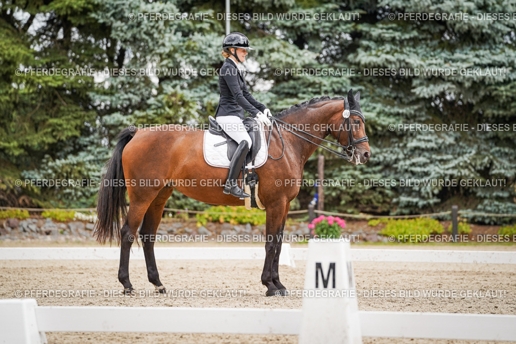 DSC04559 | Pferdegrafie