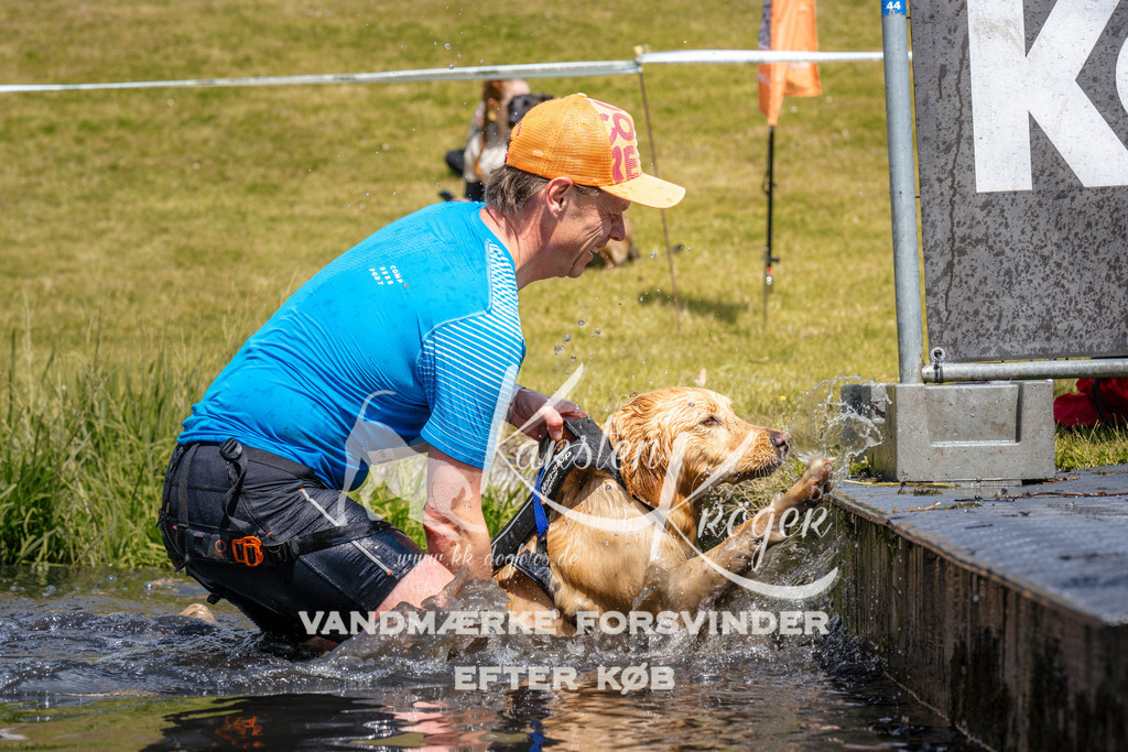 _ZZ995321054 | kk-dogfotos