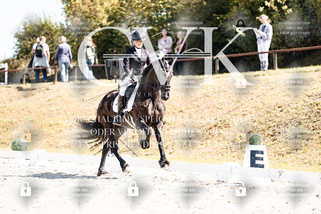 CK904082 | Turnierfotografie Pferdefotografie Trier Rheinland-Pfalz Pferdesport Reitsport Tierfotografie Sportfotografie Pferdevideo Pferdevideografie Equestrianvideography equestrianphotography  - Realisiert mit Pictrs.com