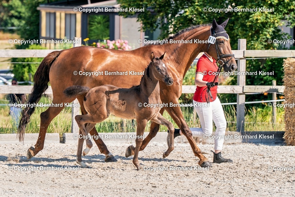 2A906463 | foto-team-bernhard - Realisiert mit Pictrs.com