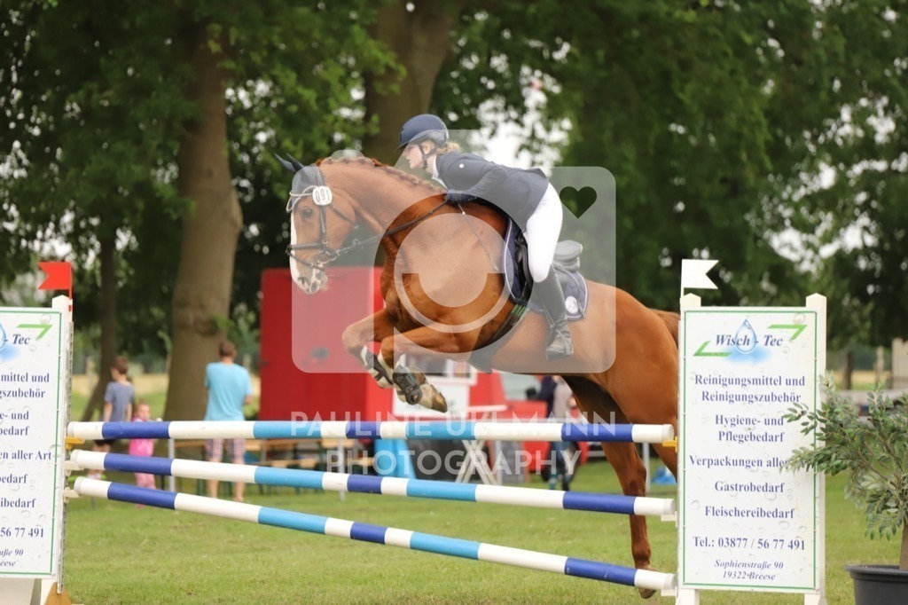 IMG_7653 | Pauline Ullmann Photography - Realisiert mit Pictrs.com