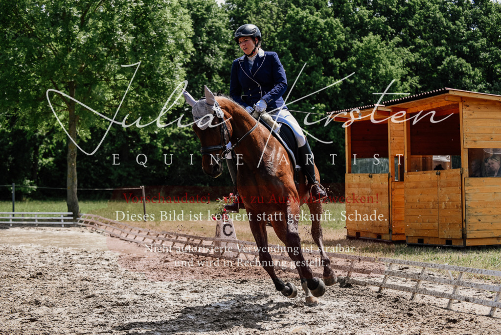 DSC_1266 | Pferde- und Turnierfotografie in Westsachsen. Pferdeportraits, Auftragszeichnungen und intuitive Kunst.