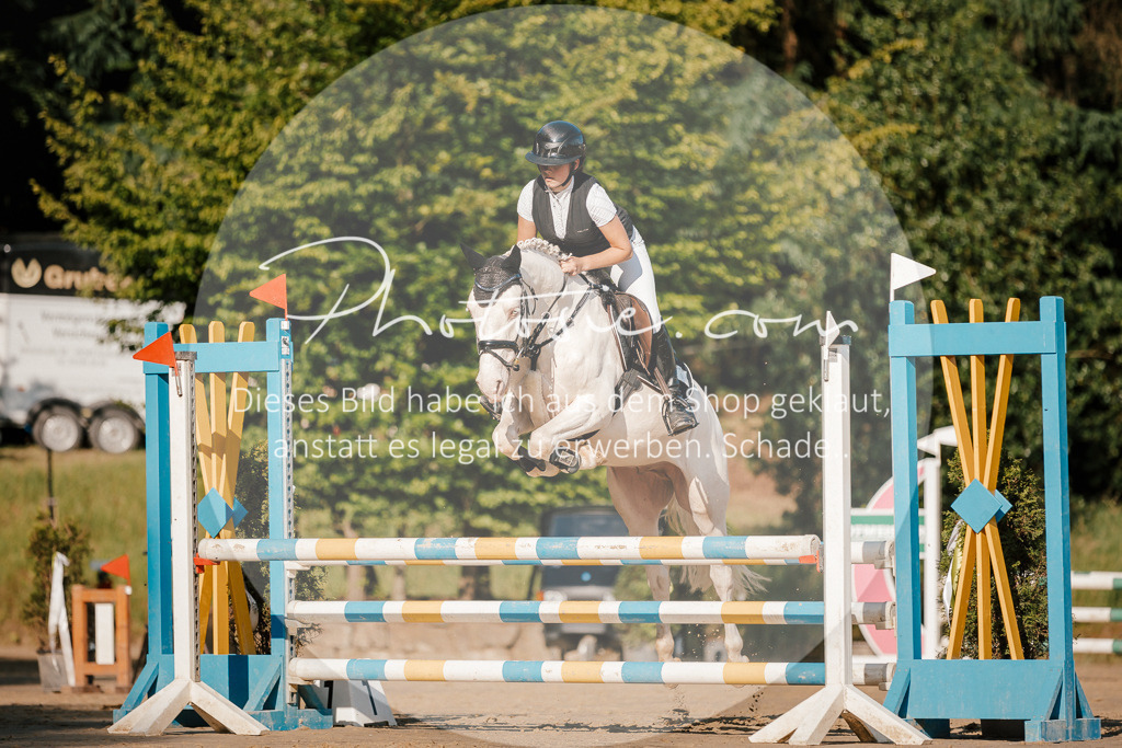 3I6A6250 | Stimmungsvolle Portraits und Reitsportfotografie im Ruhrgebiet und im Münsterland.

Pferdefotografie, Hundefotografie, Tierfotografie, Reportagen, Portraits von Tier und Mensch, Turnierfotografie in Bochum, Recklinghausen, Marl, Haltern am See, Dülmen.. - Realisiert mit Pictrs.com