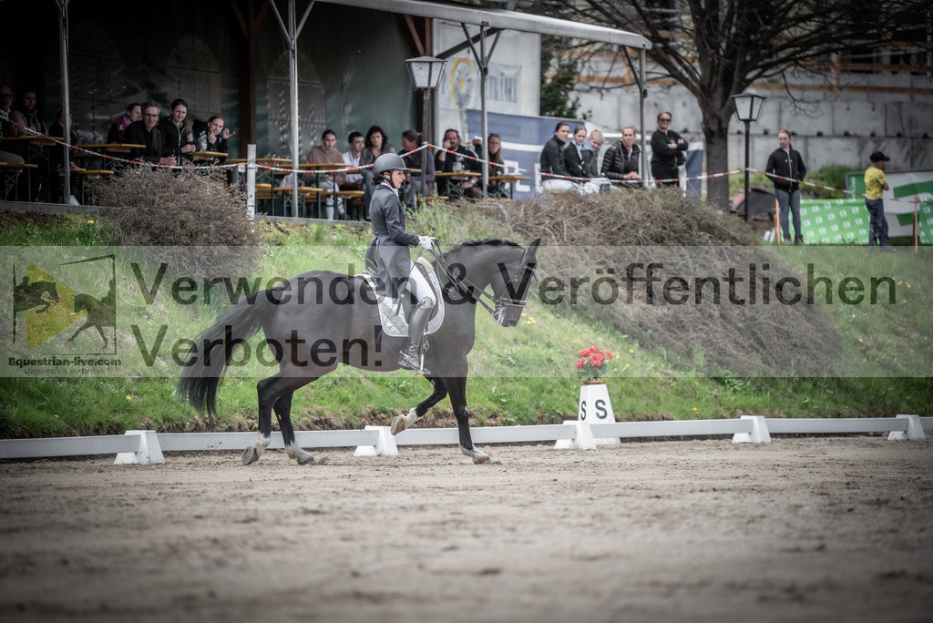 DSC_2750 | equestrian-live-com