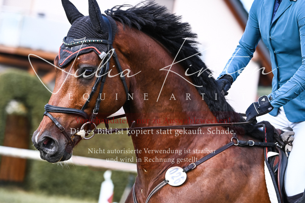 DSC_7567 | Pferde- und Turnierfotografie in Westsachsen. Pferdeportraits, Auftragszeichnungen und intuitive Kunst.