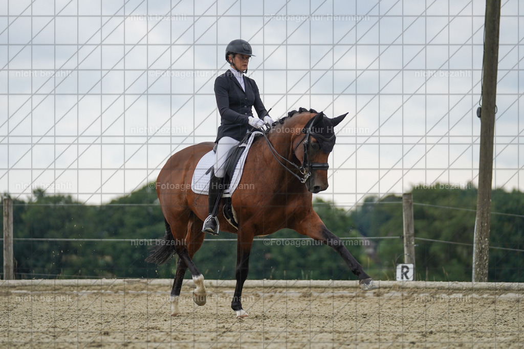 20230826-FAH06221 | Forstinning, 2023, Dressurturnier, Turniersportbilder, Turnierfotografen Bayern, Fotoagentur Herrmann, Reitsportfotografie, Turnierbilder