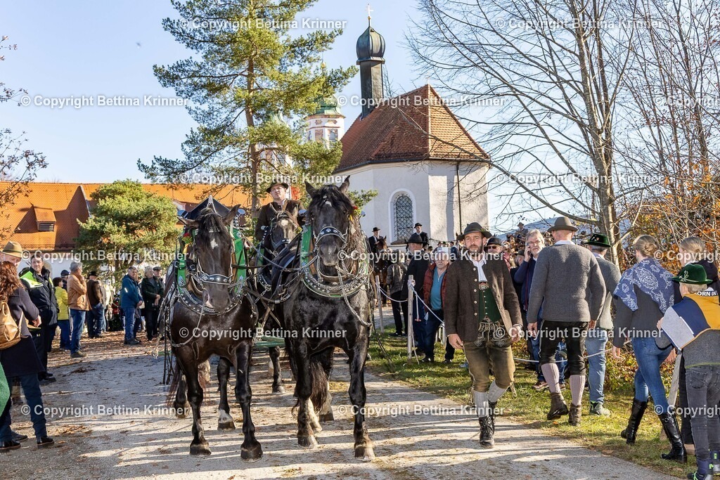 LBT25-1330 | foto-bettina-krinner - Realisiert mit Pictrs.com