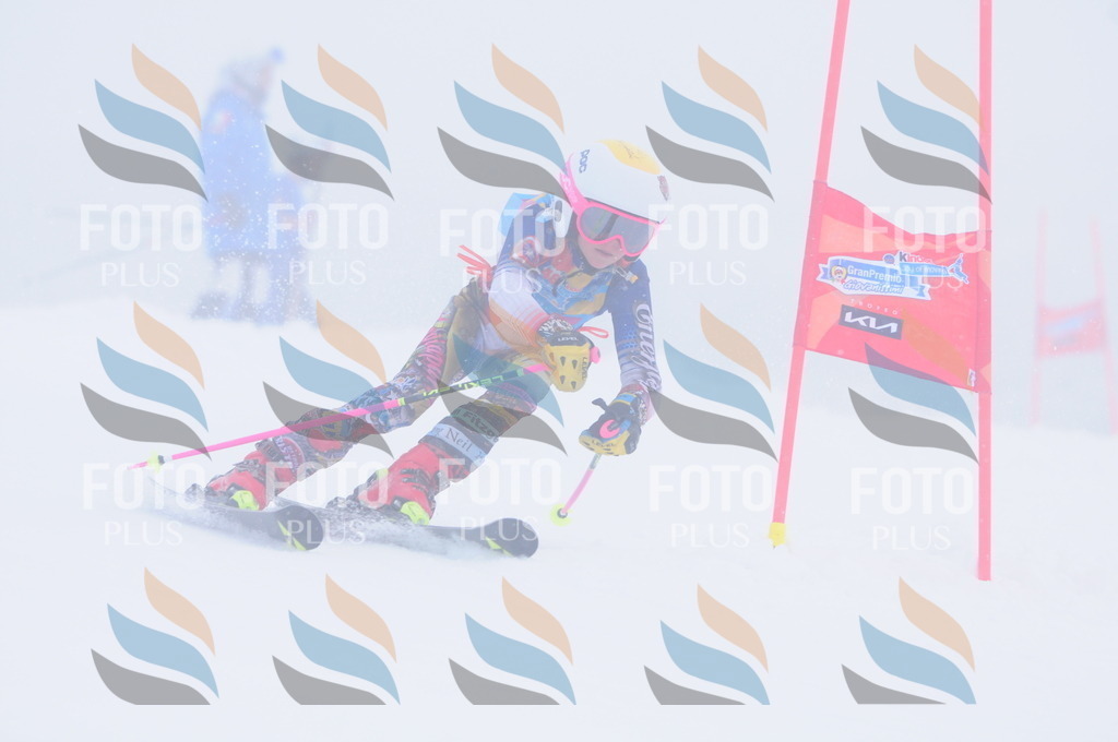 C2037 | holidayphoto