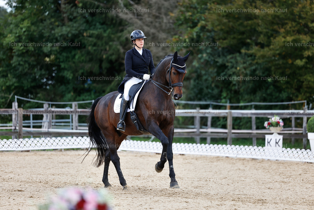10-193-ST.GEORG SPECIAL -StoibPH-3239 | working equitationturnier fotograf videograf stoibphotography marixx film working equitation deutschland reitsport turnierfotografie eventfotografie equestrian events