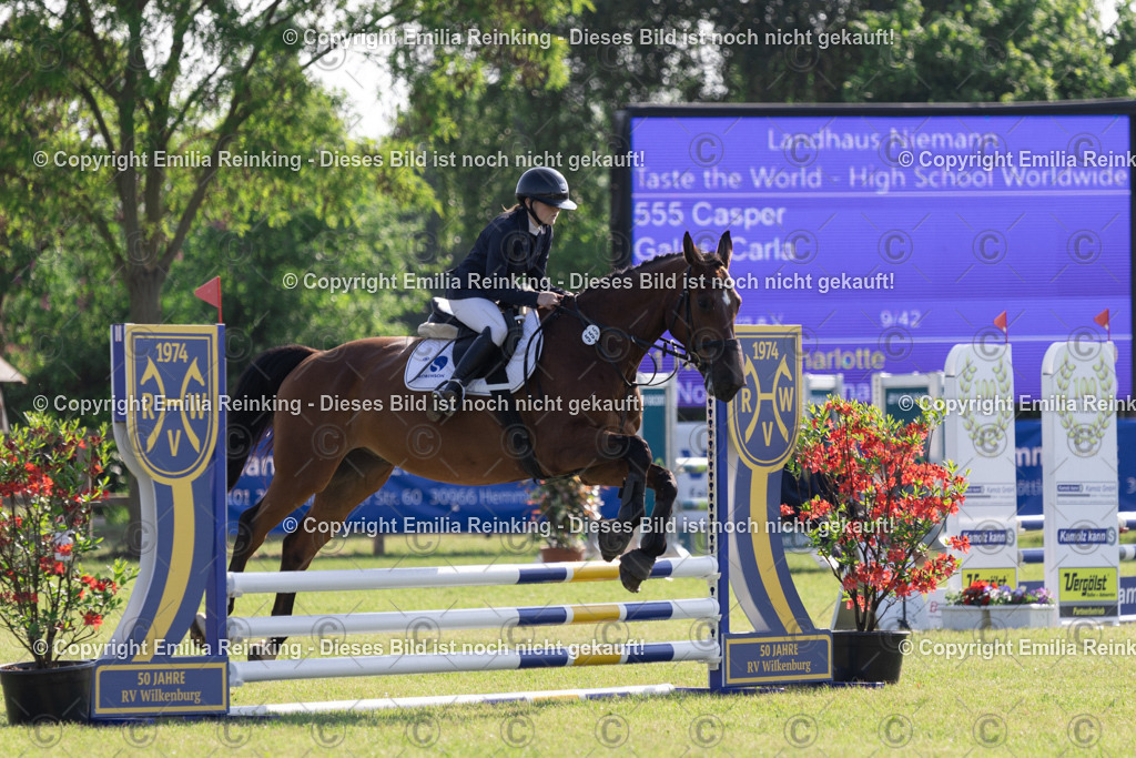 CL5A0529 | Emilia Reinking Fotografie - Realisiert mit Pictrs.com