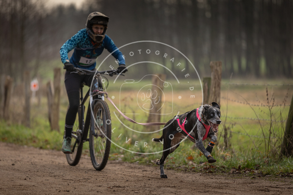 Pfotenfotografie_DV3A1903 | Hundefotografie, Tierfotograf, Pfotenfotografie, Fotoshooting Hund, Hunde Portrait, Hundesport, Hundeportraits, Heideshooting, Hunde, Sportfotograf, Hundefotograf, Turnierhundsport, THS,  - Realisiert mit Pictrs.com