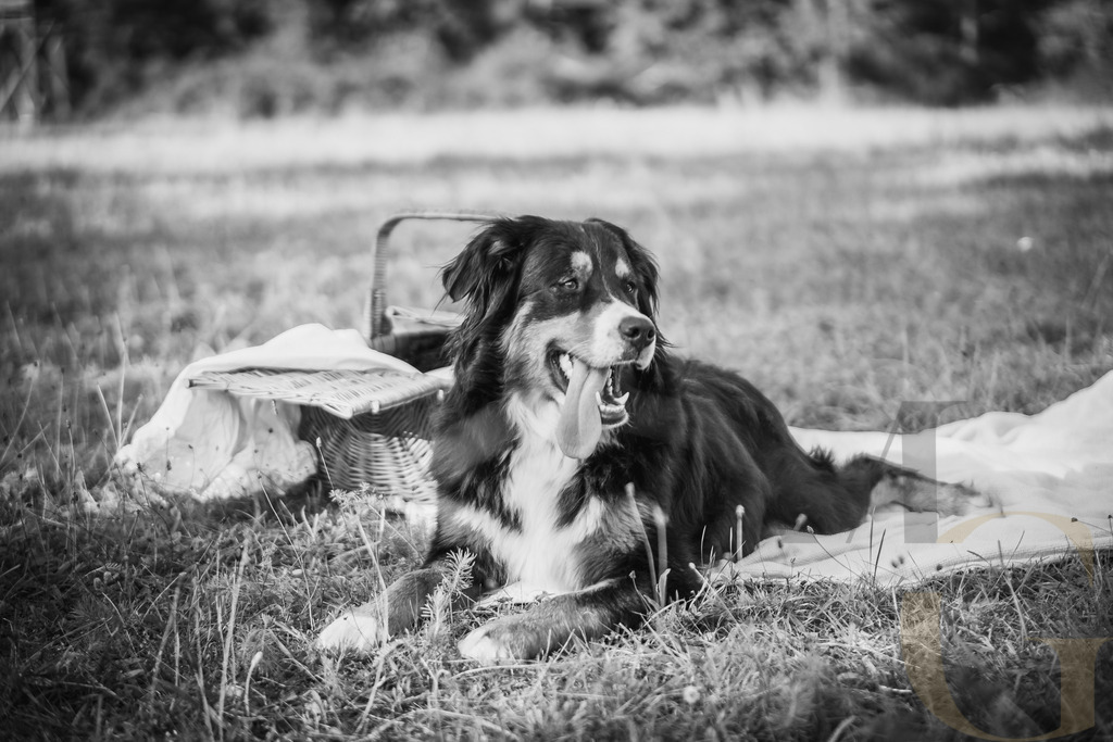 MGFoto-0031 | Newborn - Realisiert mit Pictrs.com