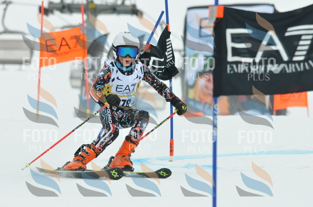 DSC_8648 | holidayphoto