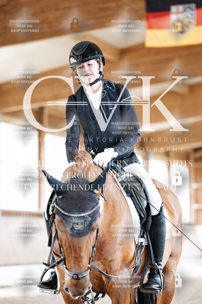 CK900667 | Turnierfotografie Pferdefotografie Trier Rheinland-Pfalz Pferdesport Reitsport Tierfotografie Sportfotografie Pferdevideo Pferdevideografie Equestrianvideography equestrianphotography  - Realized with Pictrs.com