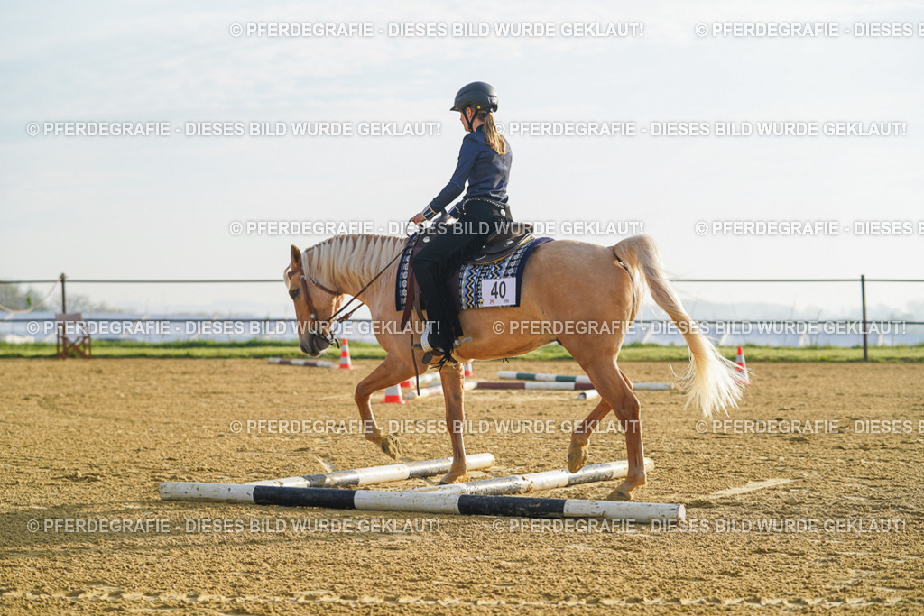 DSC09963 | Pferdegrafie