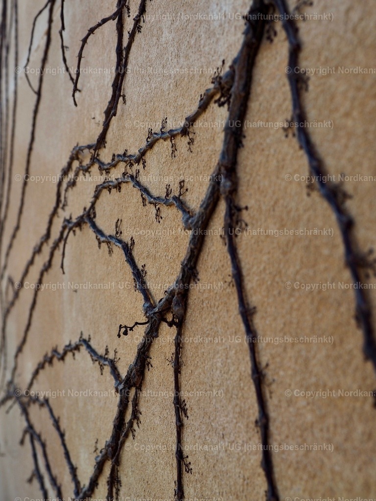 IMG_2860 | OLYMPUS DIGITAL CAMERA          - Realisiert mit Pictrs.com