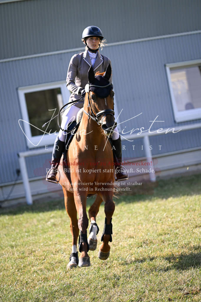 DSC_1306 | Pferde- und Turnierfotografie in Westsachsen. Pferdeportraits, Auftragszeichnungen und intuitive Kunst.