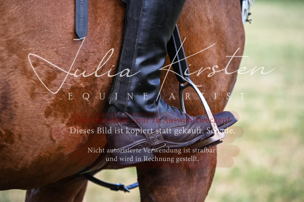 DSC_8047 | Pferde- und Turnierfotografie in Westsachsen. Pferdeportraits, Auftragszeichnungen und intuitive Kunst.