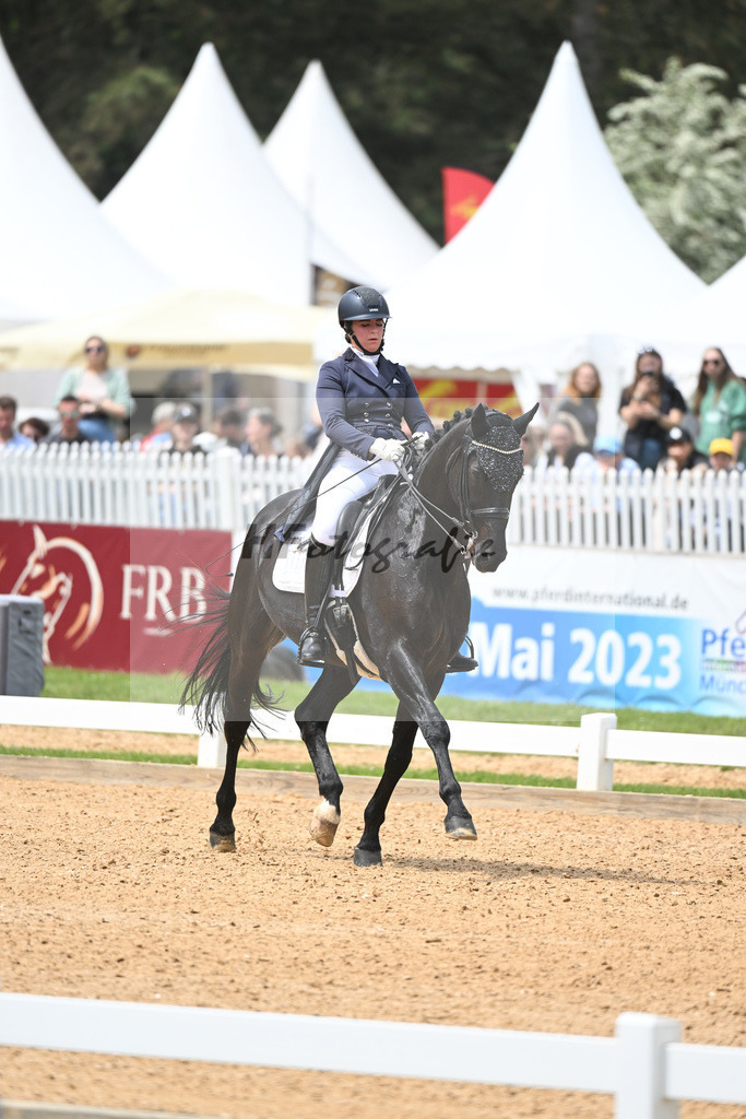 Merk_Sambuco_11233606 | hf-fotografie - Realisiert mit Pictrs.com