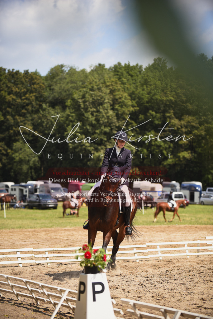 DSC_0944 | Pferde- und Turnierfotografie in Westsachsen. Pferdeportraits, Auftragszeichnungen und intuitive Kunst.