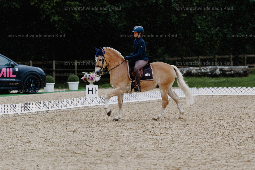 Tanesha5FHC2025-8625 | working equitationturnier fotograf videograf stoibphotography marixx film working equitation deutschland reitsport turnierfotografie eventfotografie equestrian events