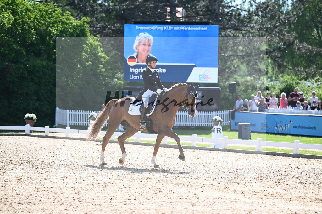 Klimke_Lion King_12244739 | hf-fotografie - Realisiert mit Pictrs.com