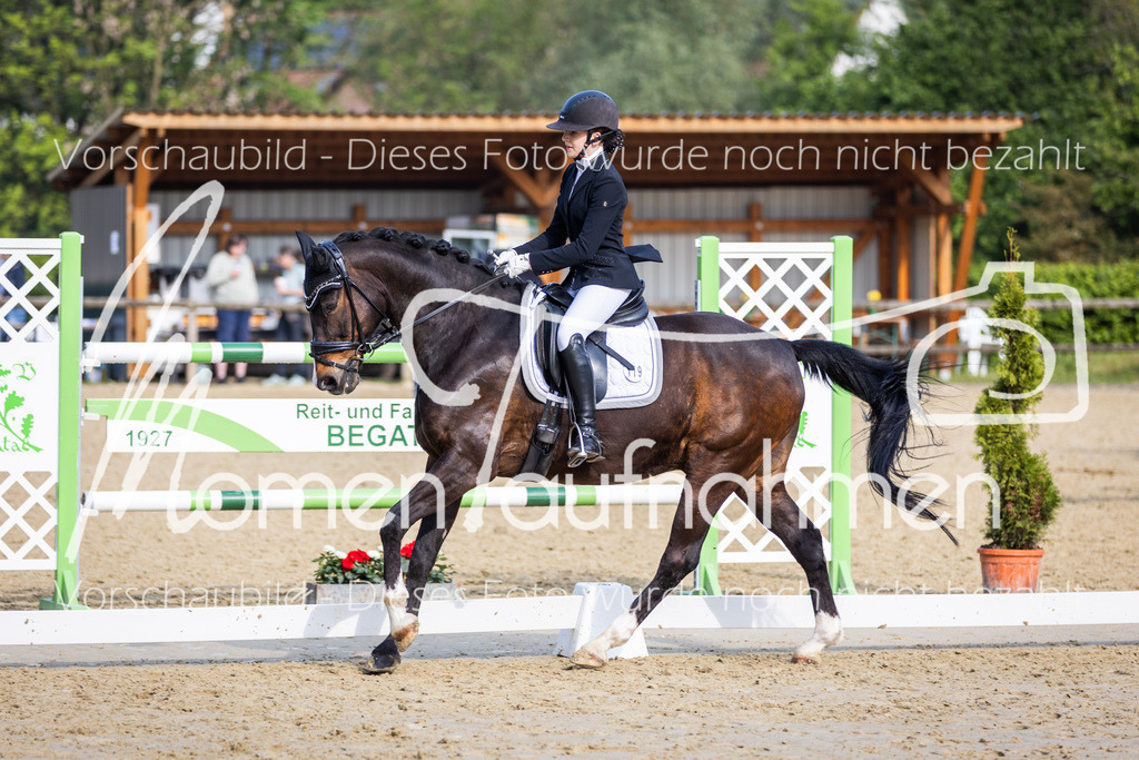 Donop24-A-Dre-124 | MomenTaufnahmen Pferdesportfotos