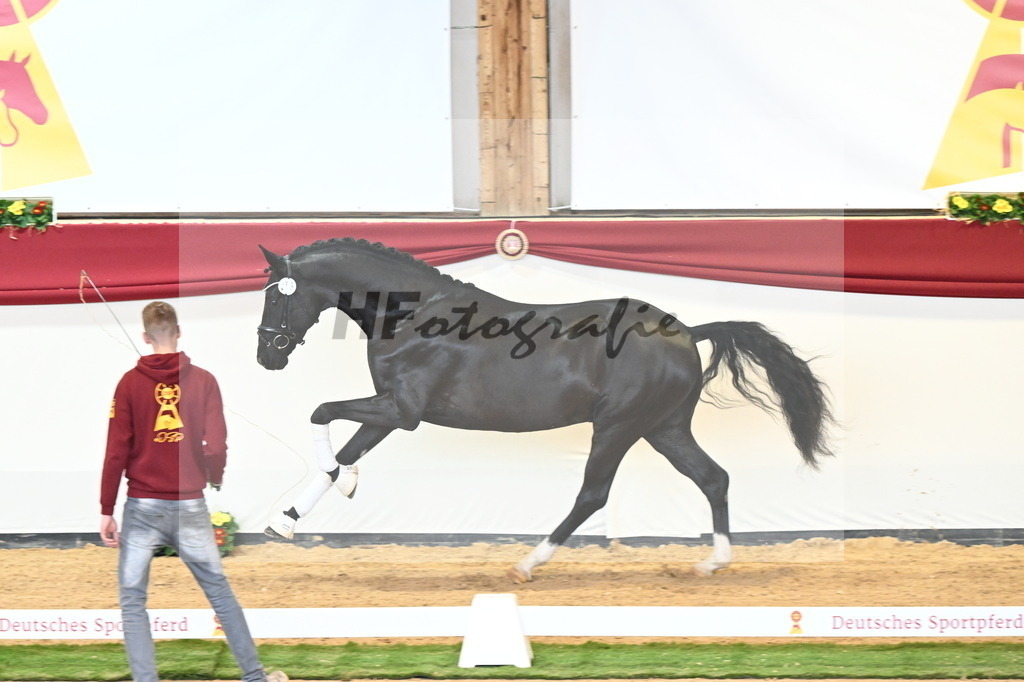 Kat.-Nr. 53 v. Fürst Belissaro_Casper_2240631 | hf-fotografie - Realisiert mit Pictrs.com