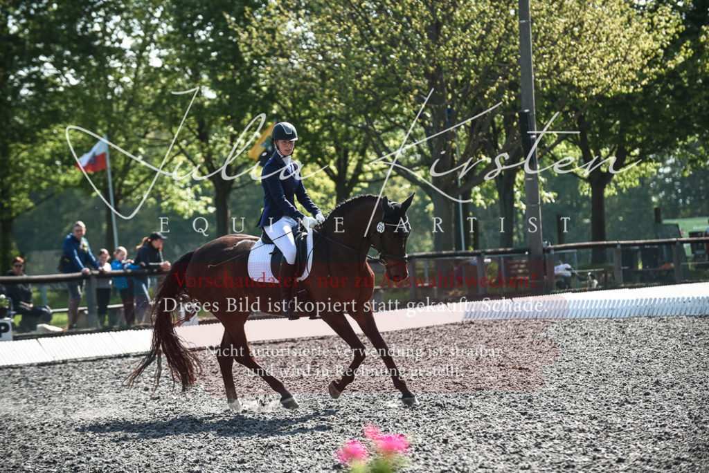 DSC_8785 | Pferde- und Turnierfotografie in Westsachsen. Pferdeportraits, Auftragszeichnungen und intuitive Kunst.