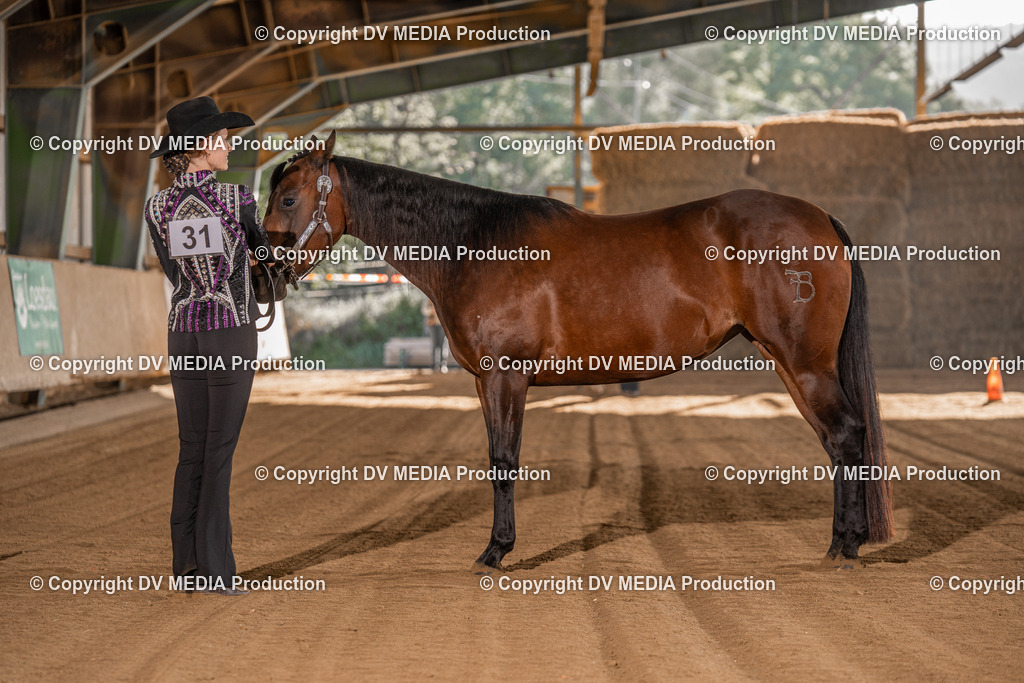 Balingen Tag 2-17 | dv-media-shop - Realisiert mit Pictrs.com