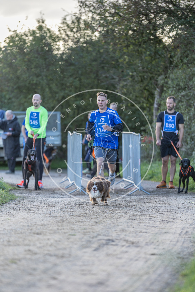 Pfotenfotografie.de_DV3A2762 | Hundefotografie, Tierfotograf, Pfotenfotografie, Fotoshooting Hund, Hunde Portrait, Hundesport, Hundeportraits, Heideshooting, Hunde, Sportfotograf, Hundefotograf, Turnierhundsport, THS, canicross - Realisiert mit Pictrs.com