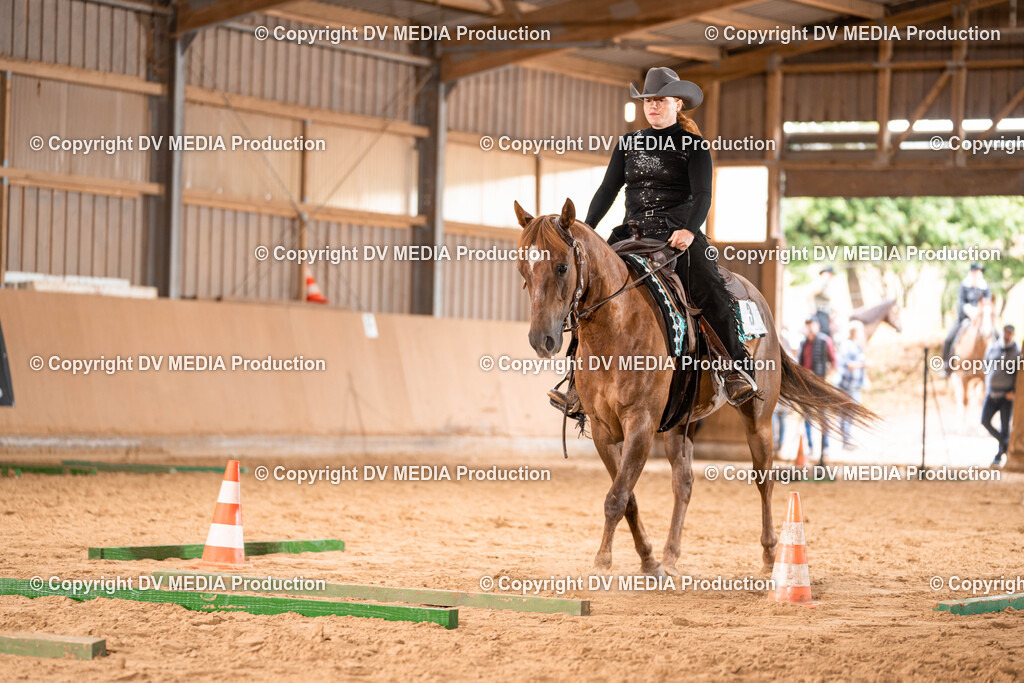 Losheim Tag 2-263 | dv-media-shop - Realisiert mit Pictrs.com