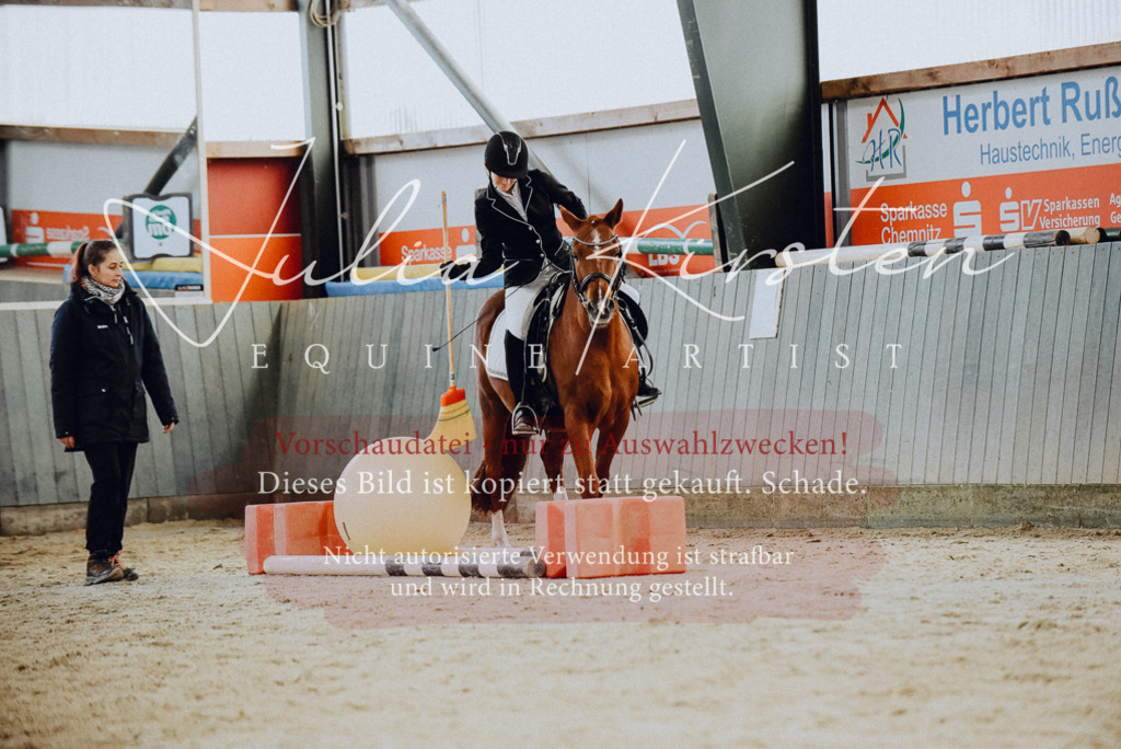 DSC_6776 | Pferde- und Turnierfotografie in Westsachsen. Pferdeportraits, Auftragszeichnungen und intuitive Kunst.