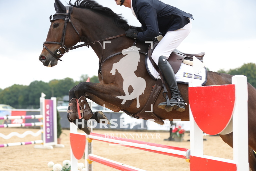 0P6A6329 | Willkommen bei Brunnmayr - Design & Fotografie – Ihrem Spezialisten für Reitturniere und Pferdeveranstaltungen in Oberösterreich, Salzburg und Bayern! Seit über 17 Jahren sind wir leidenschaftlich dabei.