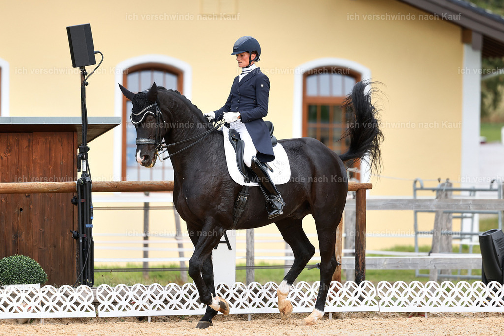 11-042-Dressur S___-StoibPH-1183 | working equitationturnier fotograf videograf stoibphotography marixx film working equitation deutschland reitsport turnierfotografie eventfotografie equestrian events