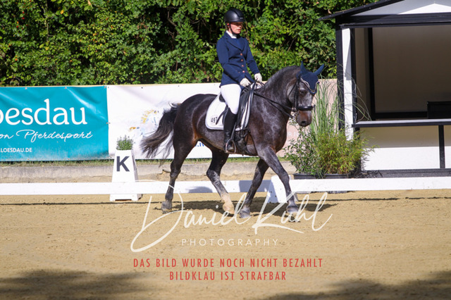 DKP40835 | Turniersportfotografie; Pferdefotografie; Dressurfotografie