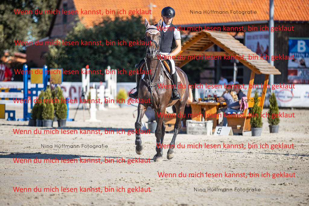 BK1A7472 | Turnierbilder Turnierfotos Nina Hüffmann Turnierfotografie Pferdefotografie Tierzeichnung Haustierzeichnung Pferdezeichnung Hundezeichnung Videograf  - Realisiert mit Pictrs.com
